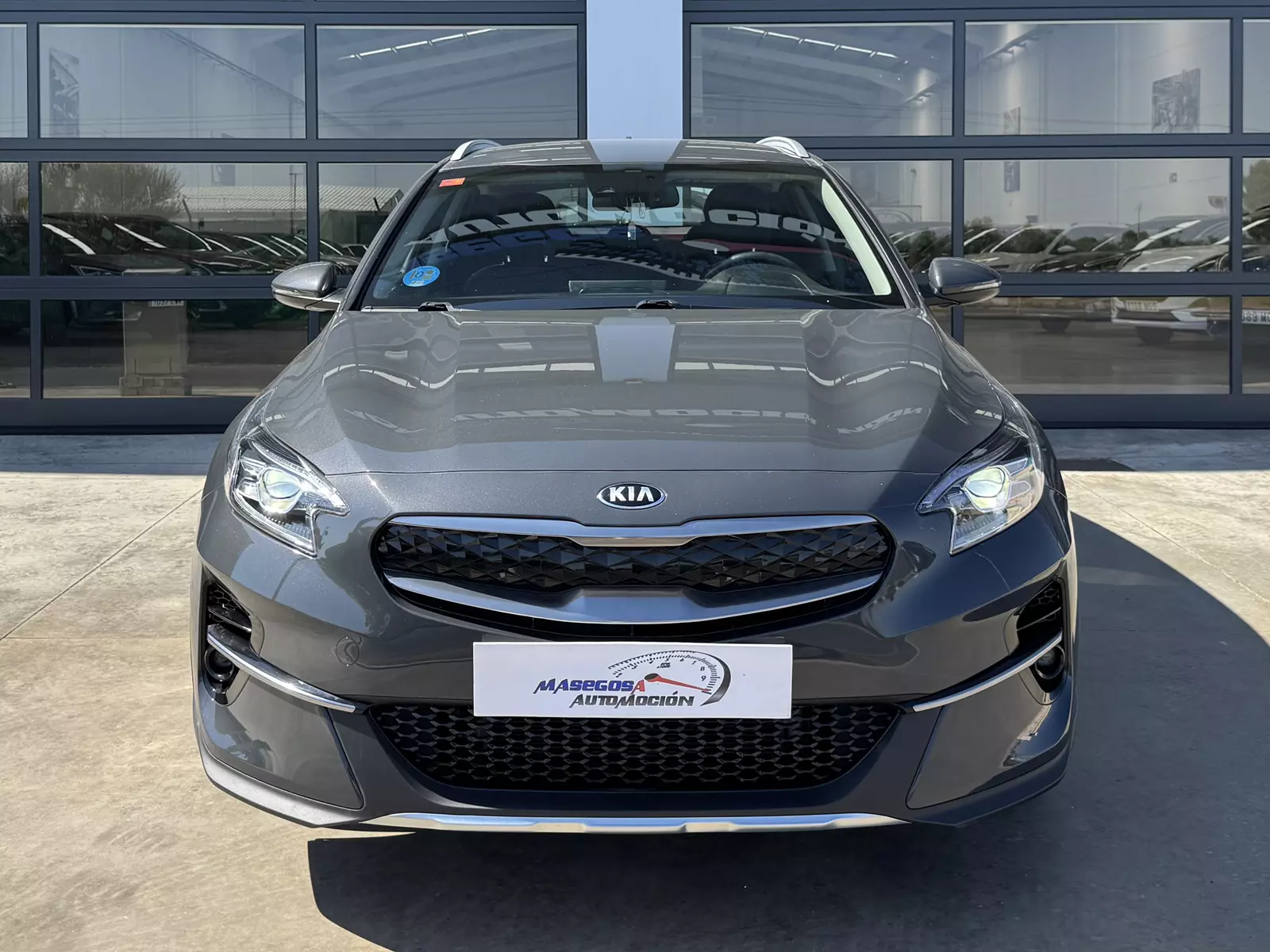 Kia XCEED 1.6 GDI PHEV 141Cv Drive Hybrid 141 CV Automático