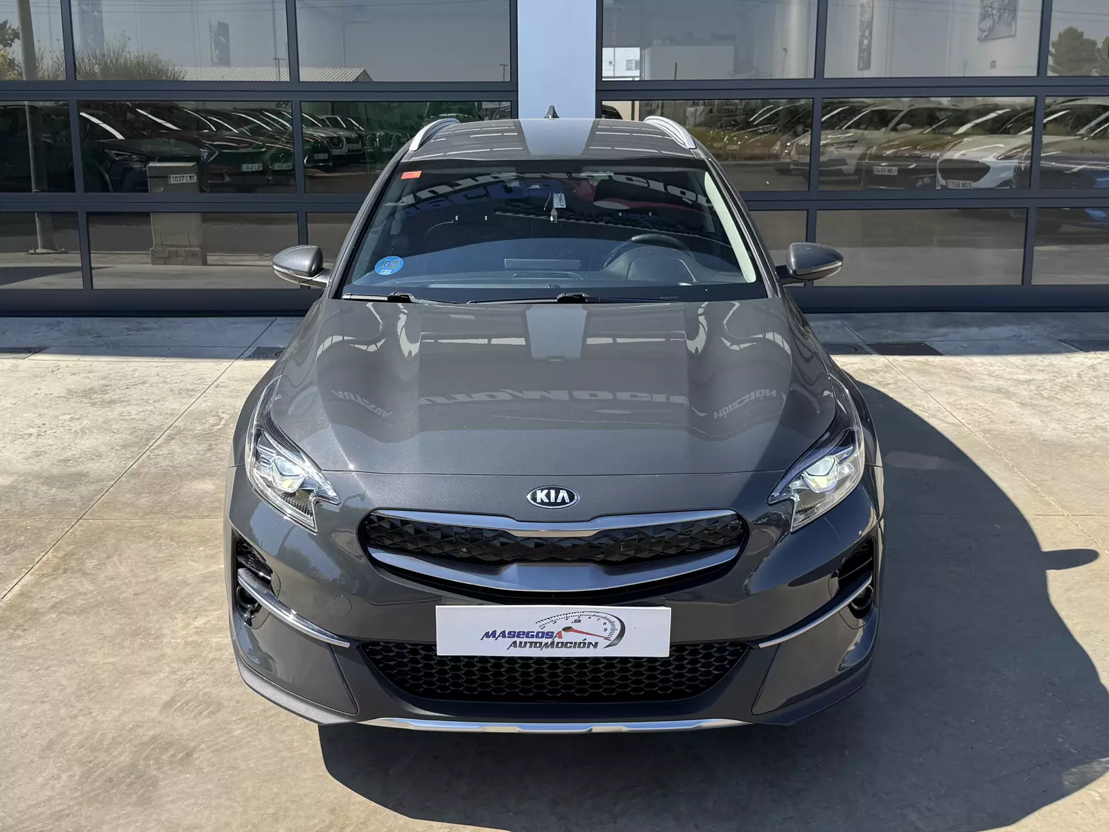 Kia XCEED 1.6 GDI PHEV 141Cv Drive Hybrid 141 CV Automático