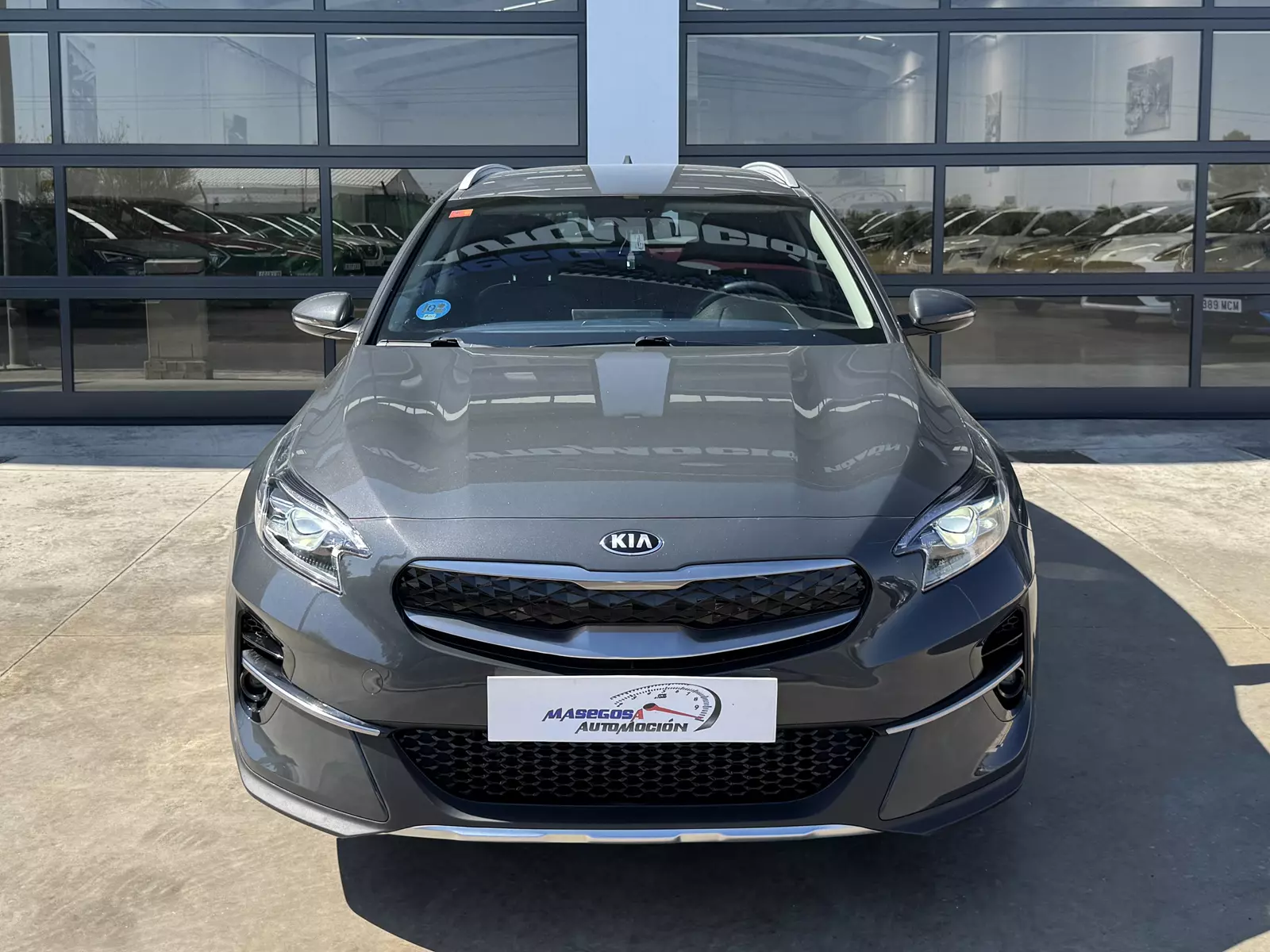 Kia XCEED 1.6 GDI PHEV 141Cv Drive Hybrid 141 CV Automático