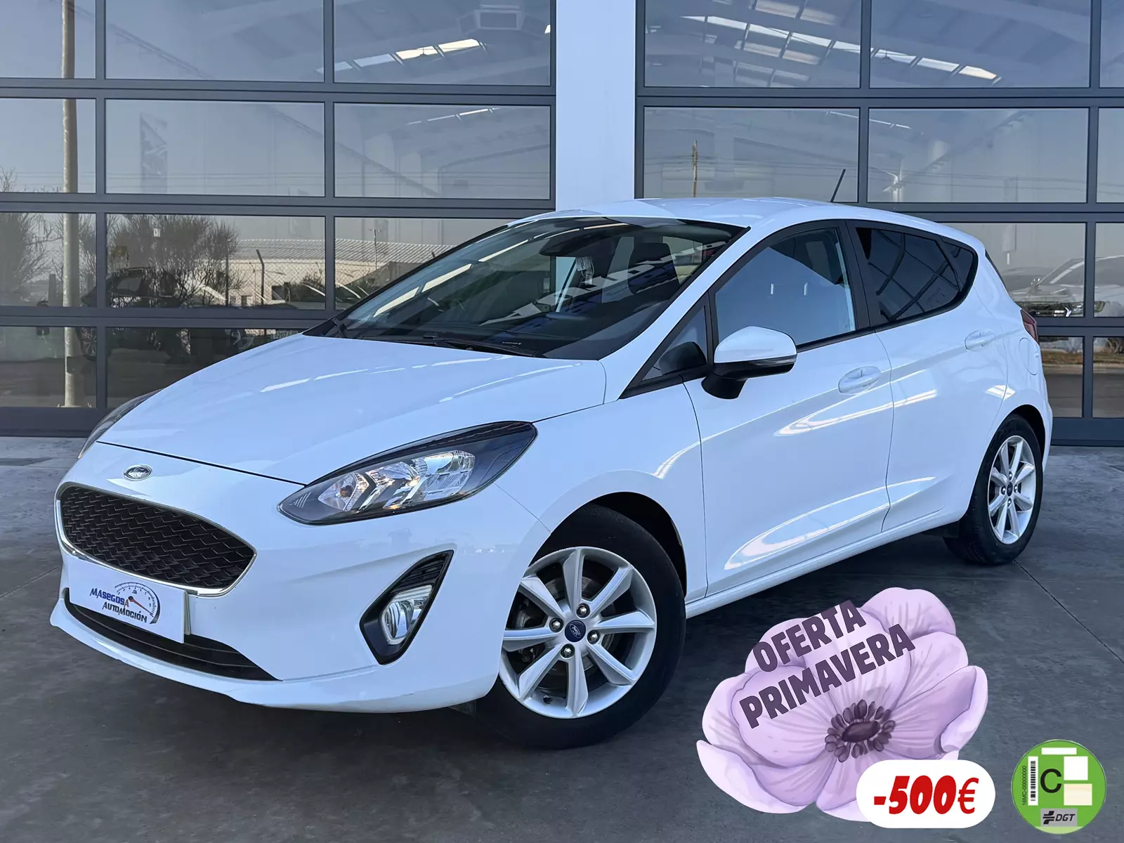 Ford Fiesta 1.0 EcoBoost 100cv Trend 5p  100 CV Manual